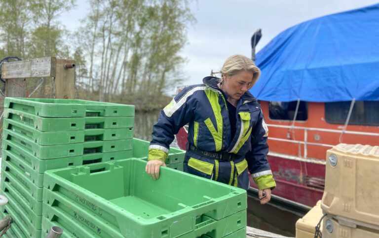 ”Runt den fjärde april varje år kommer fiskgjusen. Den är så härlig, den tackar om man slänger en fisk åt den.”