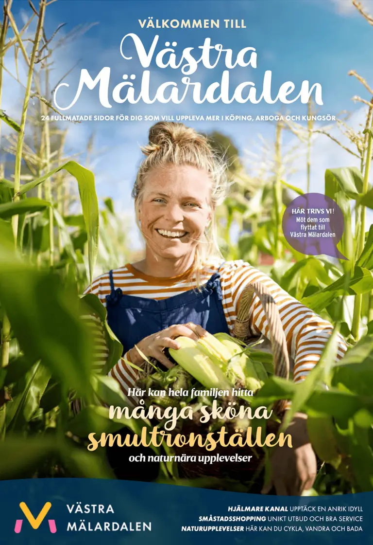 Besöksmagasin